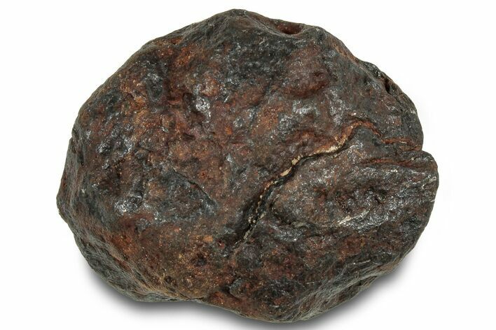 Canyon Diablo Iron Meteorite ( g) - Arizona #319637